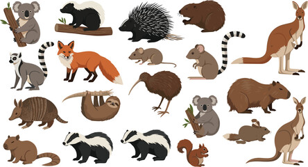 Vector illustration of various wild animals set including koala kangaroo fox and lemur isolated on white for kids education nature book and wildlife ecosystem design © Creative Minds