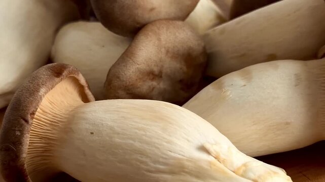 Fresh raw king oyster mushrooms (eryngii) on a natural oak slab. Close-up of organic edible fungi with brown caps and thick white stems in warm light. Ideal for gourmet and healthy cooking concepts.