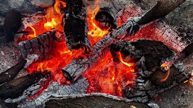 Burning Logs In campfire fire pit Outside flame Cracks charcoal embers and ashes