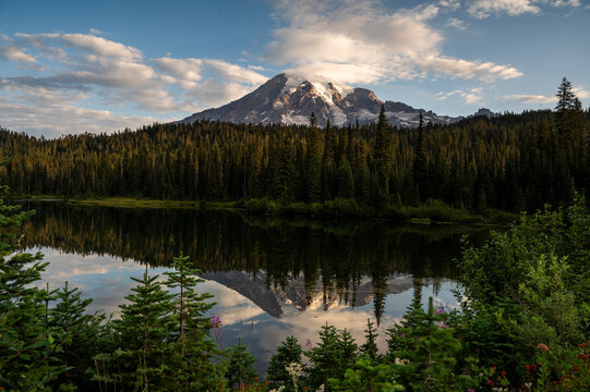reflection in the lake