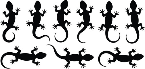 Gecko Lizard Silhouette Outline Set Climbing and Crawling Poses © Creative Stoker