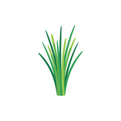 Obraz premium Flat Colorful Vector Illustration of Fresh Chives or Grass Cluster