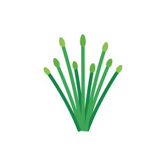 Flat Vector of Green Chive Stalks with Fan-Shaped Arrangement
