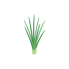 Obraz premium Minimal Flat Vector Icon of Clump of Green Grass or Chives