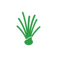 Minimal Flat Vector of Chives with Bulbous Base on White Background