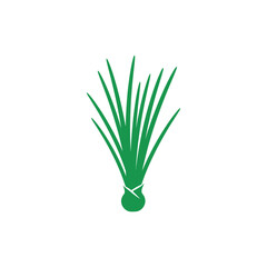 Obraz premium Clear Silhouette Flat Vector of Chives Bunch on White Background