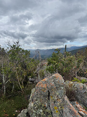 Close-up of a lichen-covered rock against a scenic mountain valley backdrop with native vegetation and a dramatic cloudy sky