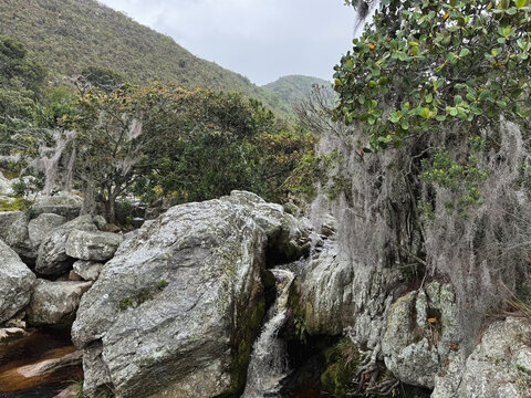 Close-up of a picturesque natural spring or mountain stream with moss-covered rocks and tropical vegetation under a cloudy sky - Pozo los Duendes, Lara, Venezuela