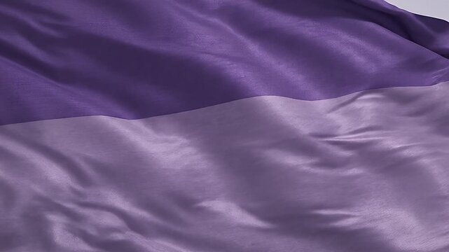 Purple Fabric Drape - A close-up shows a two-toned purple fabric draped in folds. The fabric is divided into a darker and lighter shade of purple.