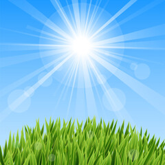 Obraz premium Bright Sun Rays Over Fresh Green Grass – Blue Sky Spring Nature Background with Copy Space