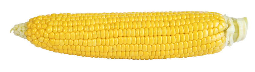 &Eacute;pis de ma&iuml;s