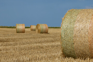 Balles de paille apr&egrave;s les moissons	