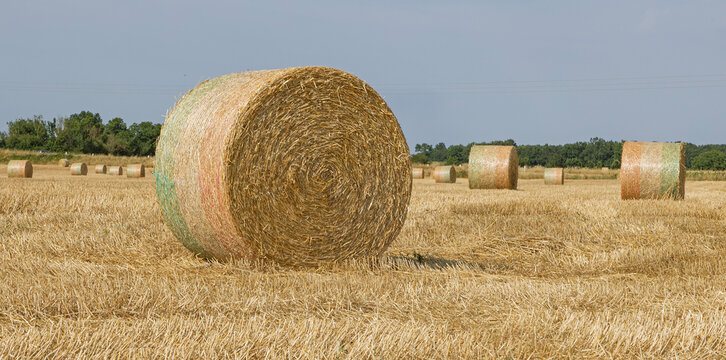 Balles de paille apr&egrave;s les moissons	