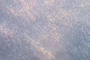 Obraz premium Macro photography of a pure snow surface covered with small frost crystals sparkling under the soft warm light of the winter evening sun.