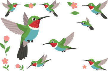 Small Hummingbird Vector Illustration Set Featuring Tiny Birds in Flight with Green Feathers, Pink Flowers, and Garden Nature Elements for Spring Designs © Kulsum