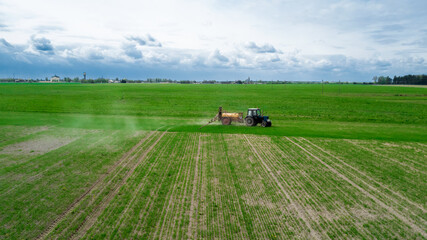 Fototapeta premium Aerial view, Farmer on a tractor with a sprayer makes fertilizer for young vegetables