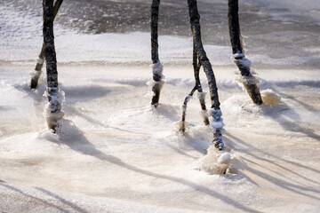 Close up of tree branches trapped in thick river ice creating natural ice sculptures.