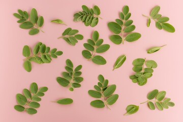Obraz premium Green moringa leaves are arranged on a pink background in a simple layout showing various shapes and sizes
