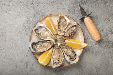Fresh oysters with lemon wedges and oyster knife on plate top view © somegirl