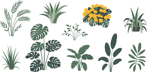 Beautiful Collection of Various Green Houseplants, Tropical Plants, Indoor Plant Illustrations, Modern Nature Designs for Home Decoration