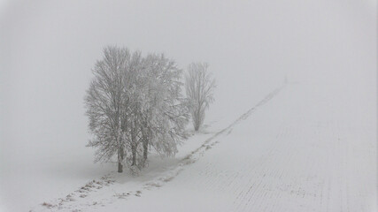 Winterlandschaft