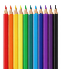 Fototapeta premium Vibrant colored pencils arranged in a neat row on white background