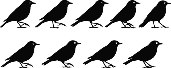 Obraz premium Set of ten bird silhouettes in side profile with consistent style and simple design for wildlife and decorative themes