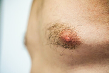 Fototapeta premium Male hairy shaggy chest close-up. The concept of hair removal and health. Male hairy nipple. Nipple with hair. Easy erotica and humor. Without epilation. Flabby male body, sedentary lifestyle.