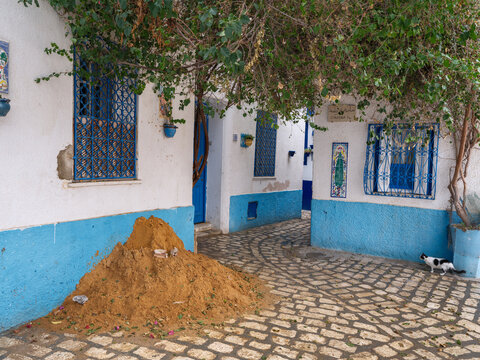 The Silent Alleys of Bizerte: A Winter Journey Through the Medina of Bizerte