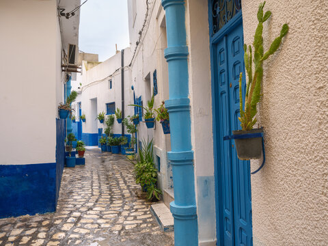The Silent Alleys of Bizerte: A Winter Journey Through the Medina of Bizerte