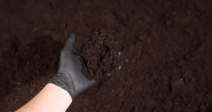 fertile soil mixed with peat and humus for growing seedlings and various plants, part of the territory with fertile brown soil mixed with other useful elements to improve the harvest
