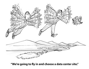 bird is leader in choosing site