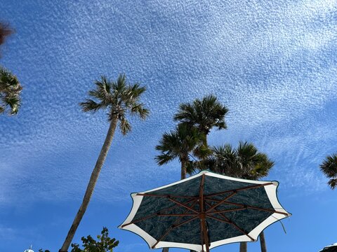 Mackerel Sky over Miami. Before modern meteorology, these clouds were considered precursors of hurricanes. 