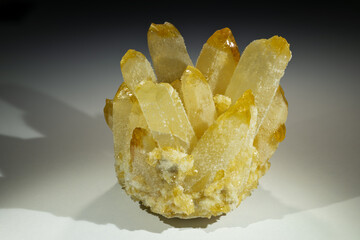 A citrine cactus druse with a white background.
