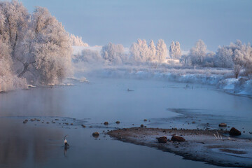 Amazing Winter Nature Landscape with Frozen Trees on Horizon over Frosty Snowy River in Warm Yellow Morning Sunlight