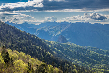 Fototapeta premium Mountains in Perucica Forest Reserve in Sutjeska National Park.
