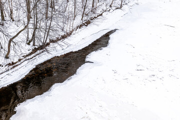Partially Frozen Stream Cutting Through Snow Covered Winter Forest