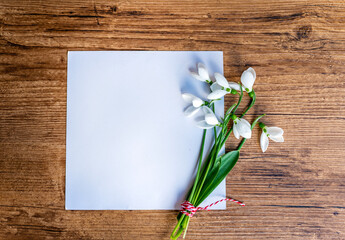 Empty card with snowdrops flowers on wooden background © boryanam