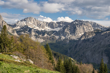 Fototapeta premium Rugged mountains in Perucica Forest Reserve in Sutjeska National Park.