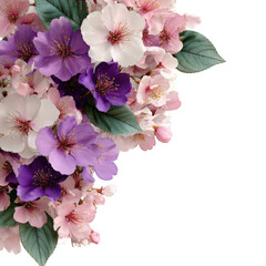 Pink and purple anemone flowers bouquet isolated on transparent background