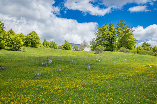 Farm building in a meadow in Sutjeska National Park.