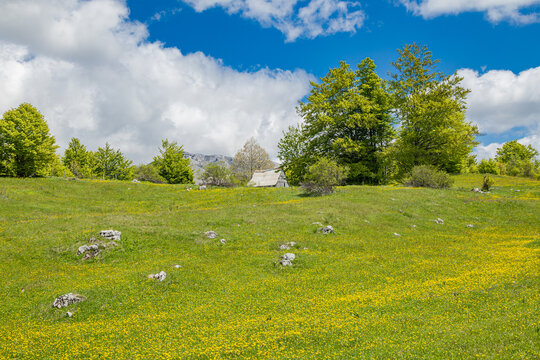 Farm building in a meadow in Sutjeska National Park.