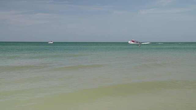 The ocean with a pelican and a dolphin chaser boat.