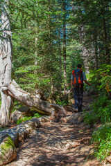 hiker climbing trail in the Pyrenees of Catalonia, Spain