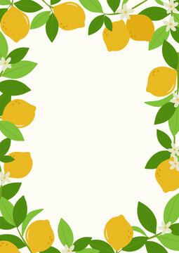Template with lemon branches and flowers. Citrus frame illustration. Lemon branches with fruits, flowers and leaves.