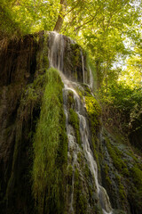 Obraz premium waterfall in the forest