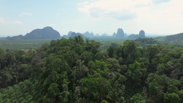 Aerial view of lush greenery and limestone mountains in Thailands landscape