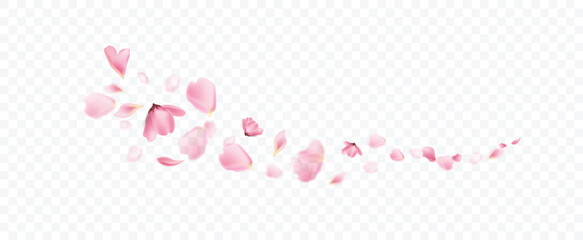Pink flower falling frame overlay effect on transparent background.