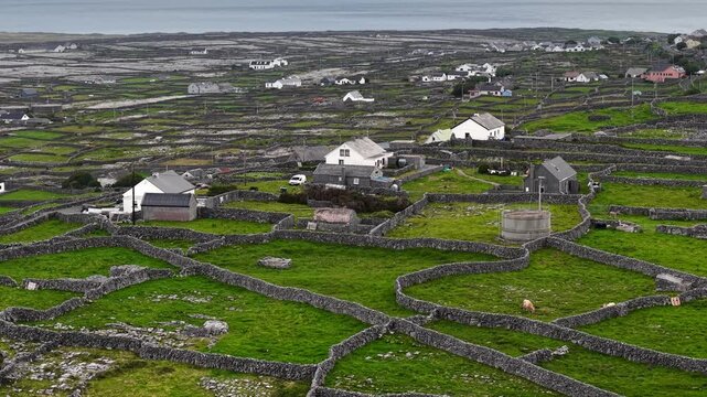Authentic Irish Inishmore island life with remote houses and rocky fields. Aerial view of traditional Irish cottages and stone walls on Aran Islands, rural landscape with green pastures and sheep