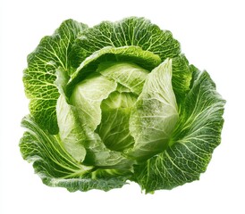 Obraz premium Vibrant Green Cabbage Head, Fresh and Healthy Vegetable Isolated on White for Culinary Use.